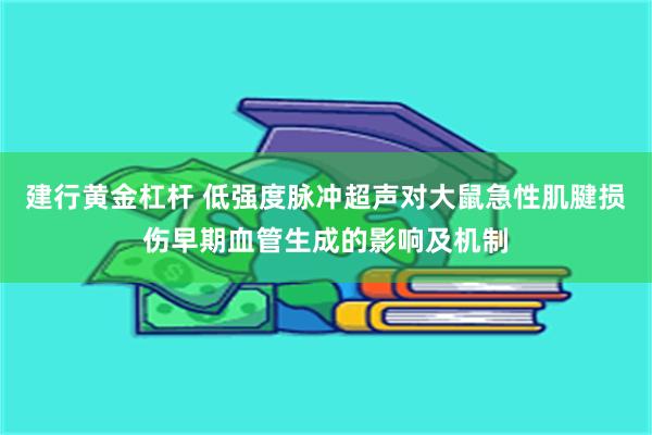 建行黄金杠杆 低强度脉冲超声对大鼠急性肌腱损伤早期血管生成的影响及机制