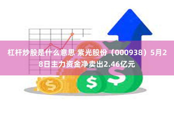 杠杆炒股是什么意思 紫光股份（000938）5月28日主力资金净卖出2.46亿元