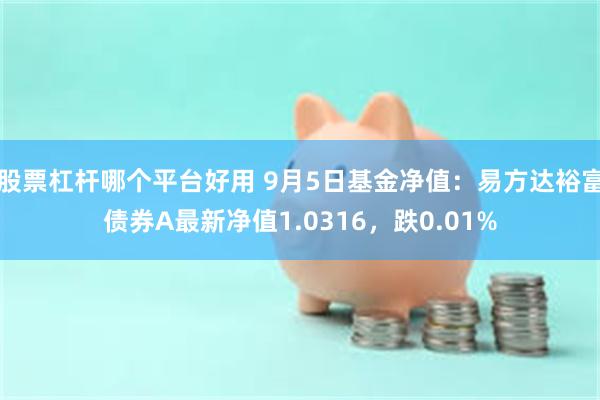 股票杠杆哪个平台好用 9月5日基金净值：易方达裕富债券A最新净值1.0316，跌0.01%