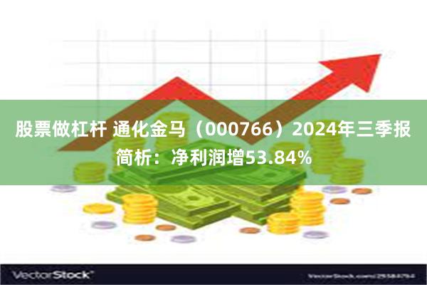 股票做杠杆 通化金马（000766）2024年三季报简析：净利润增53.84%