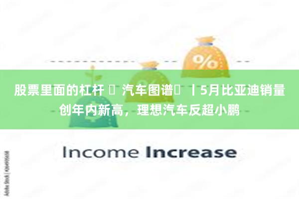 股票里面的杠杆 ​汽车图谱⑮丨5月比亚迪销量创年内新高，理想汽车反超小鹏